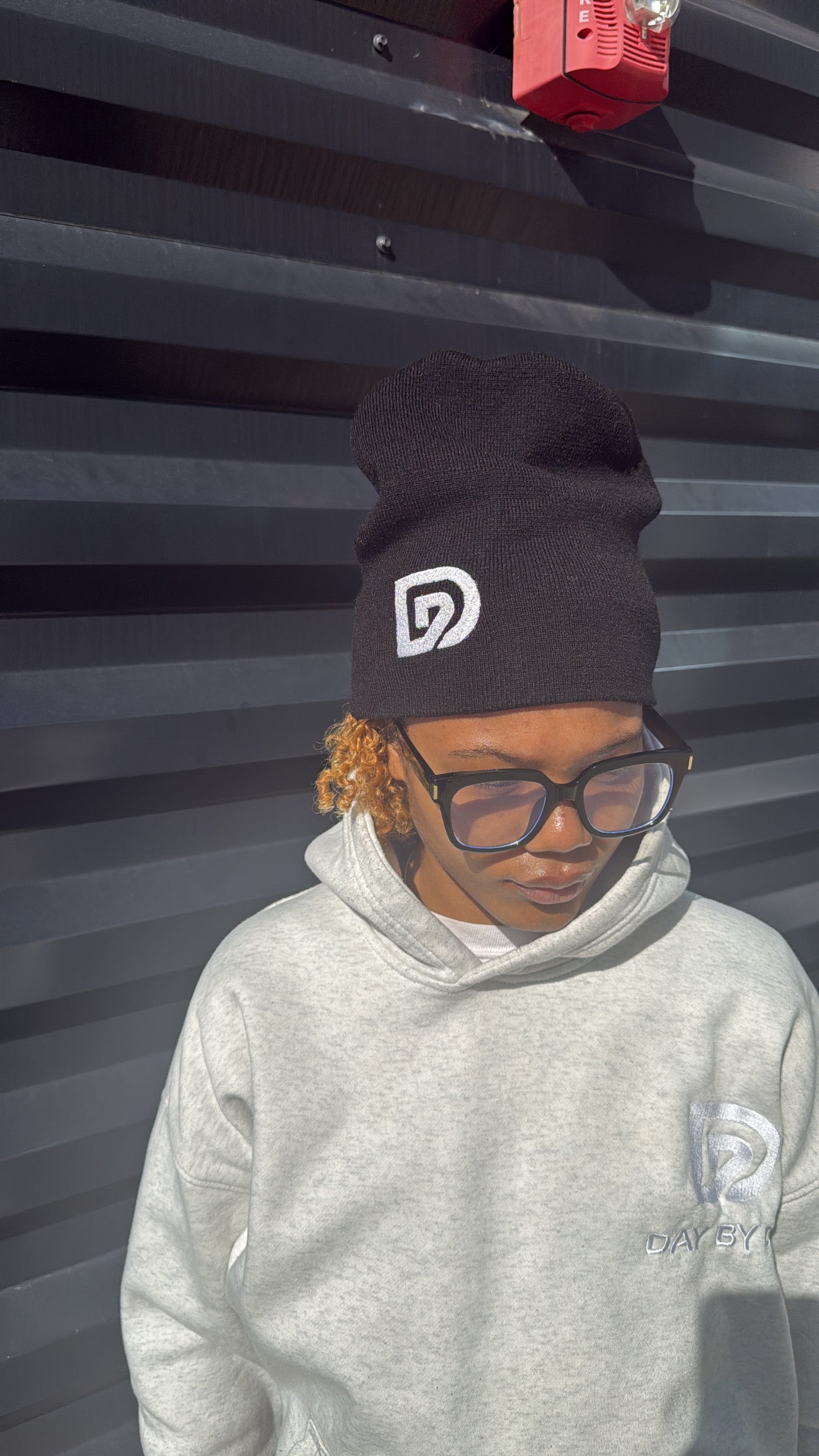 Day By Day Logo Beanie